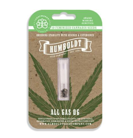 Humboldt All Gas OG 10 Pack Seeds