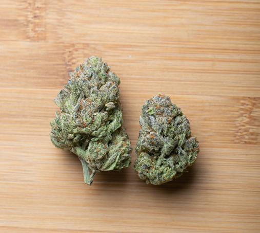 sofresh Farms Gush Mintz