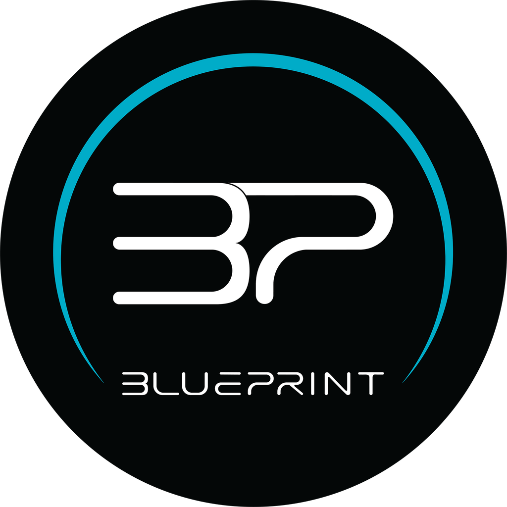 Blueprint P90 3.5g Flower