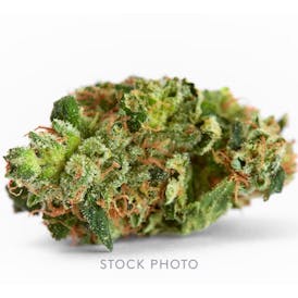 White Truffle - Loose