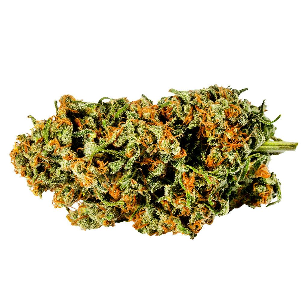 Redecan - Warlock - 28g