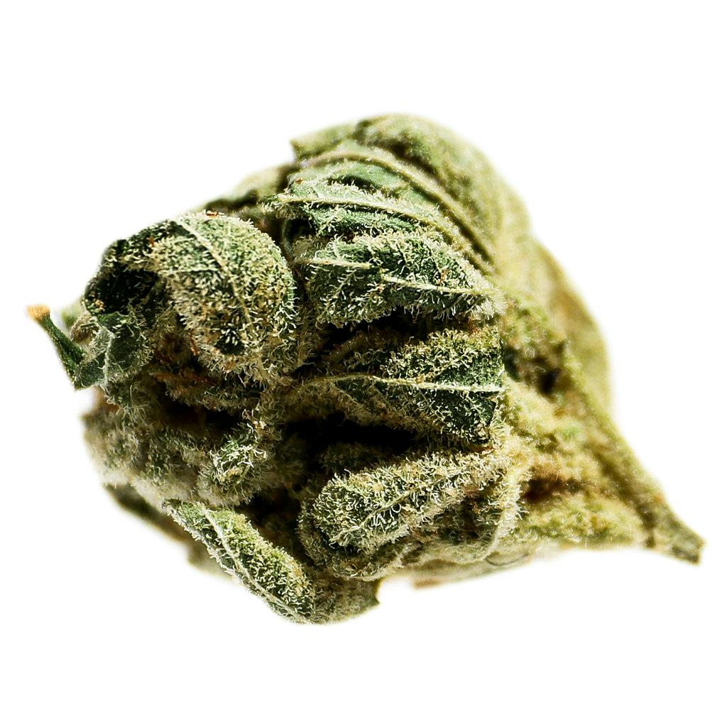 Potluck - Frosted Cherry - 7g