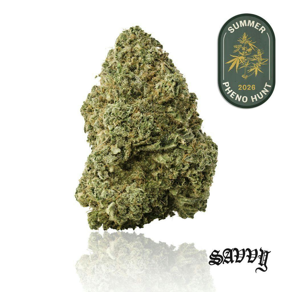 Savvy KiwiSrs x Gva 3.5g