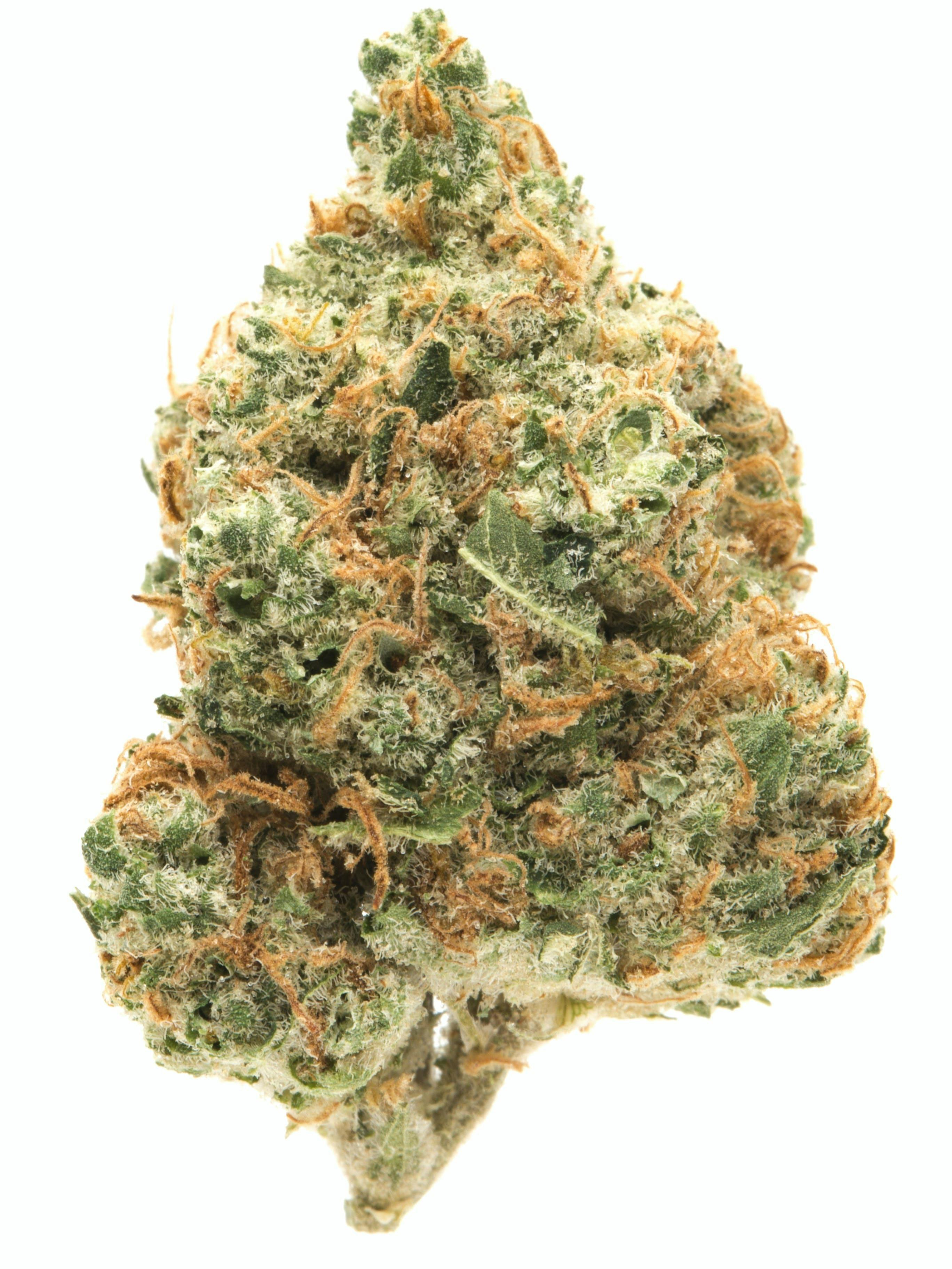 BLD F - 3.5g - Glass Slipper