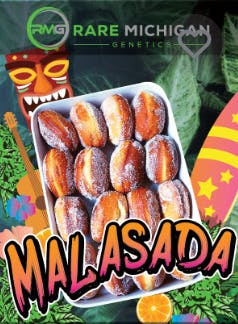 Rare MI Genetics | Malasada | Pre-Roll Multi-Pack | 10pk.