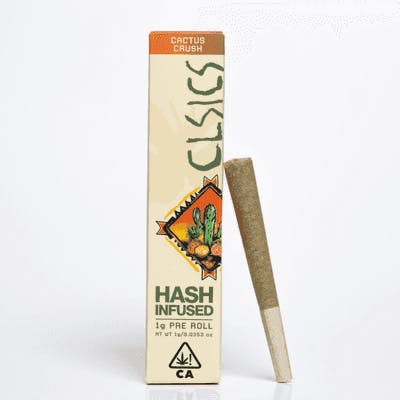 CLSICS — Cactus Crush