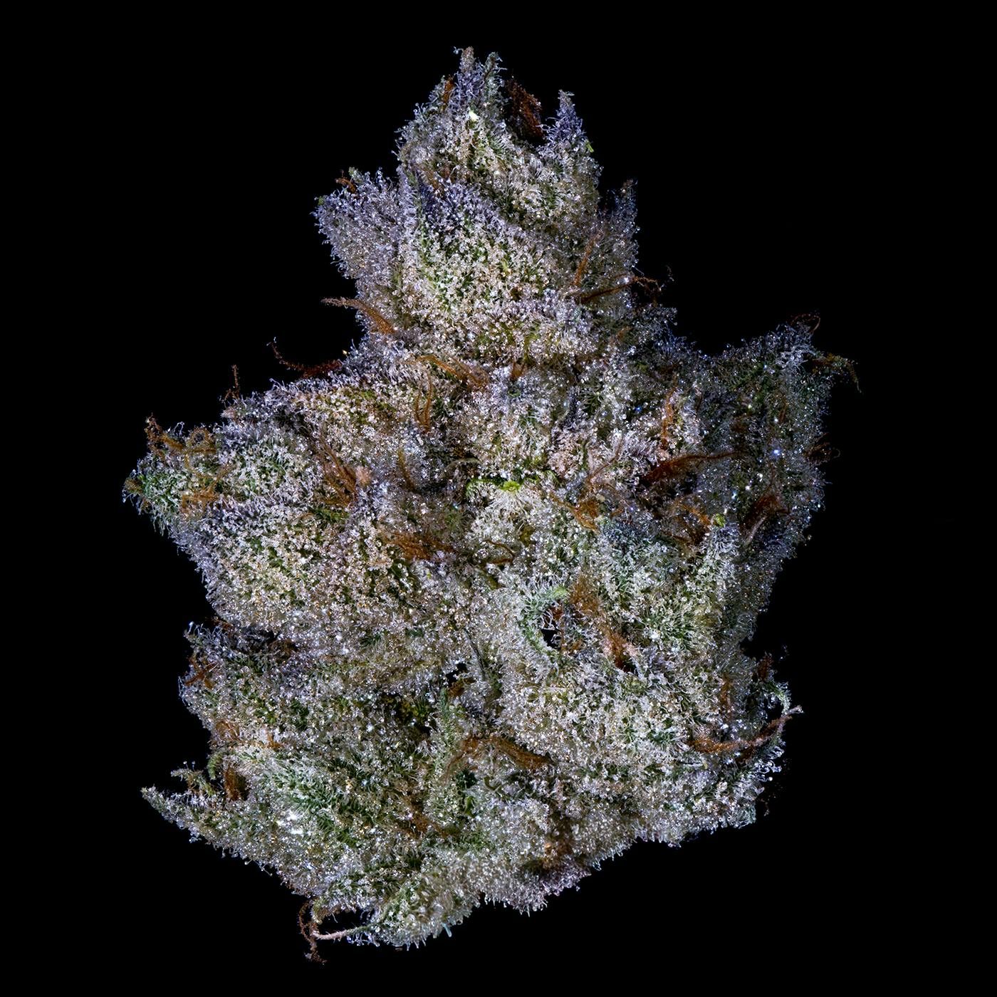 FIG FARMS 3.5G - STRAWBERRY GUAVA