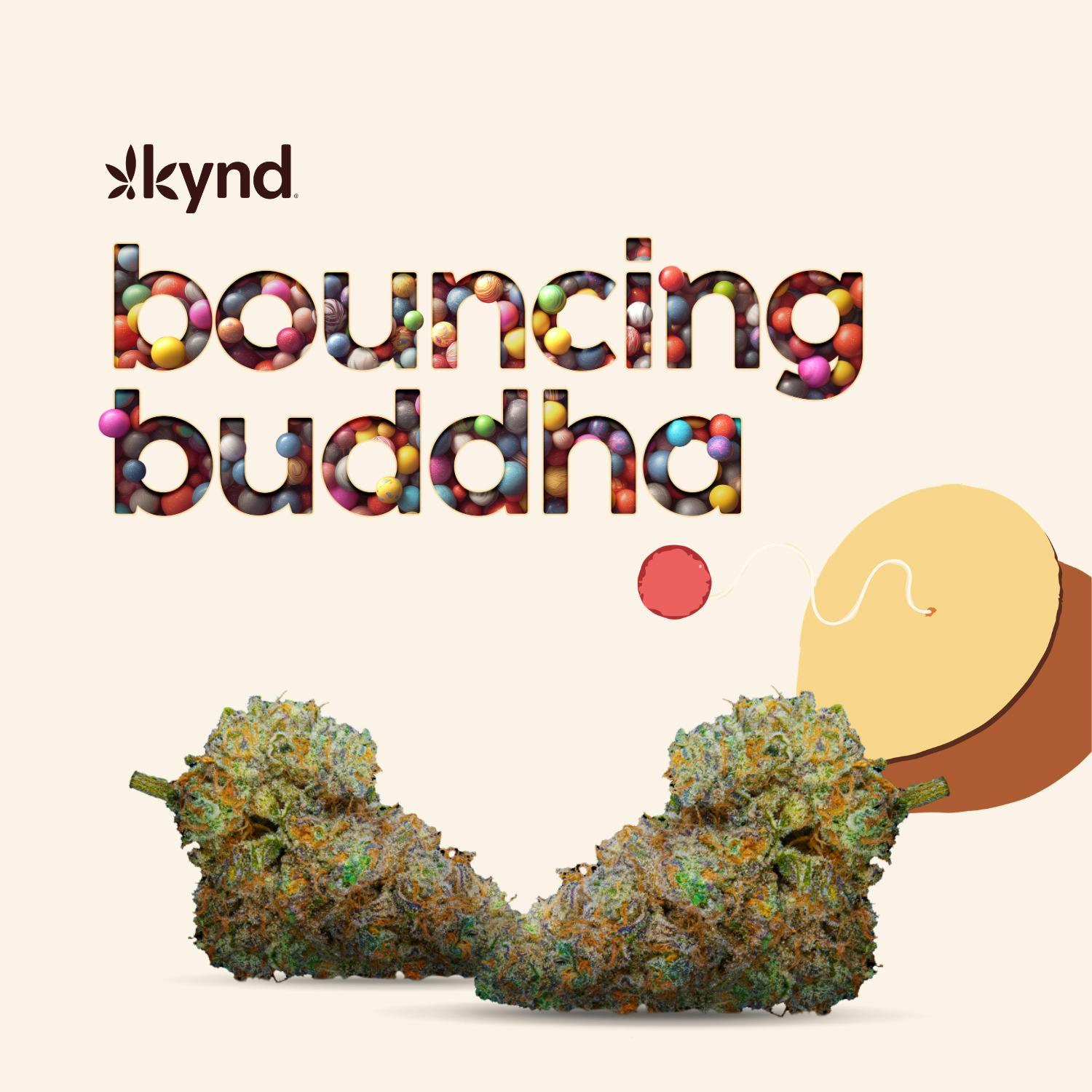 Bouncing Buddha Flower at AYR Cannabis Dispensary Gainesville