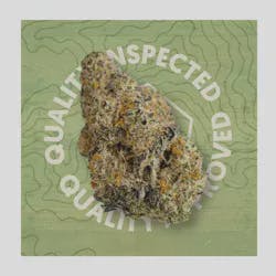 Qr Brands - Bubble Bath - Plant Nerd 3.5g cannabis product