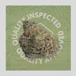 QR Brands - Bluntz x Strawberry Guava 3.5g cannabis product