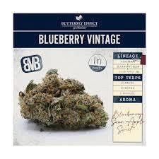 BUTTERFLY EFFECT - BLUEBERRY VINTAGE - [2.83G] - INDICA