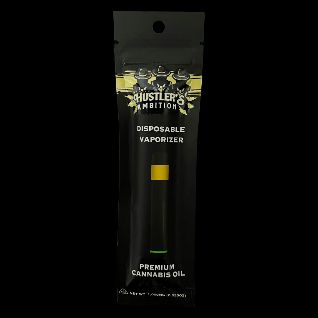 Hustler's Ambition - Northern Lights Disposable (1g)