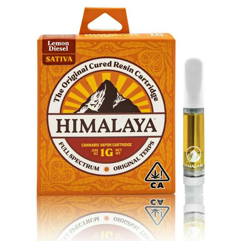 Himalaya: Amnesia