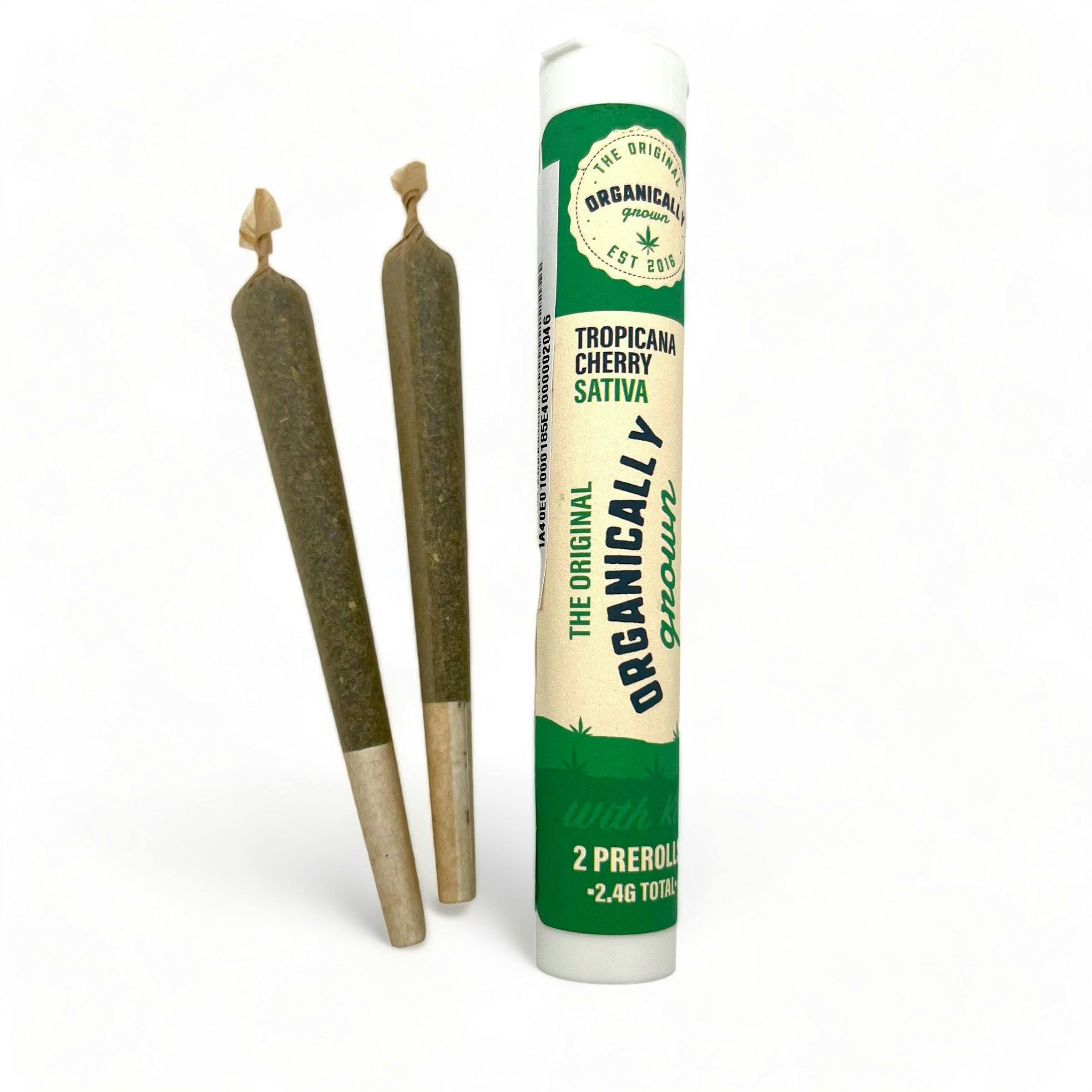 Tropicana Cherry Two 1.2G Pre Rolls - Black Label Labs -