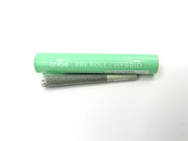 Apples and Bananas x High Octane- Tribe- Preroll 1g-Hybrid