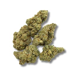 Lemon OG - BIGS