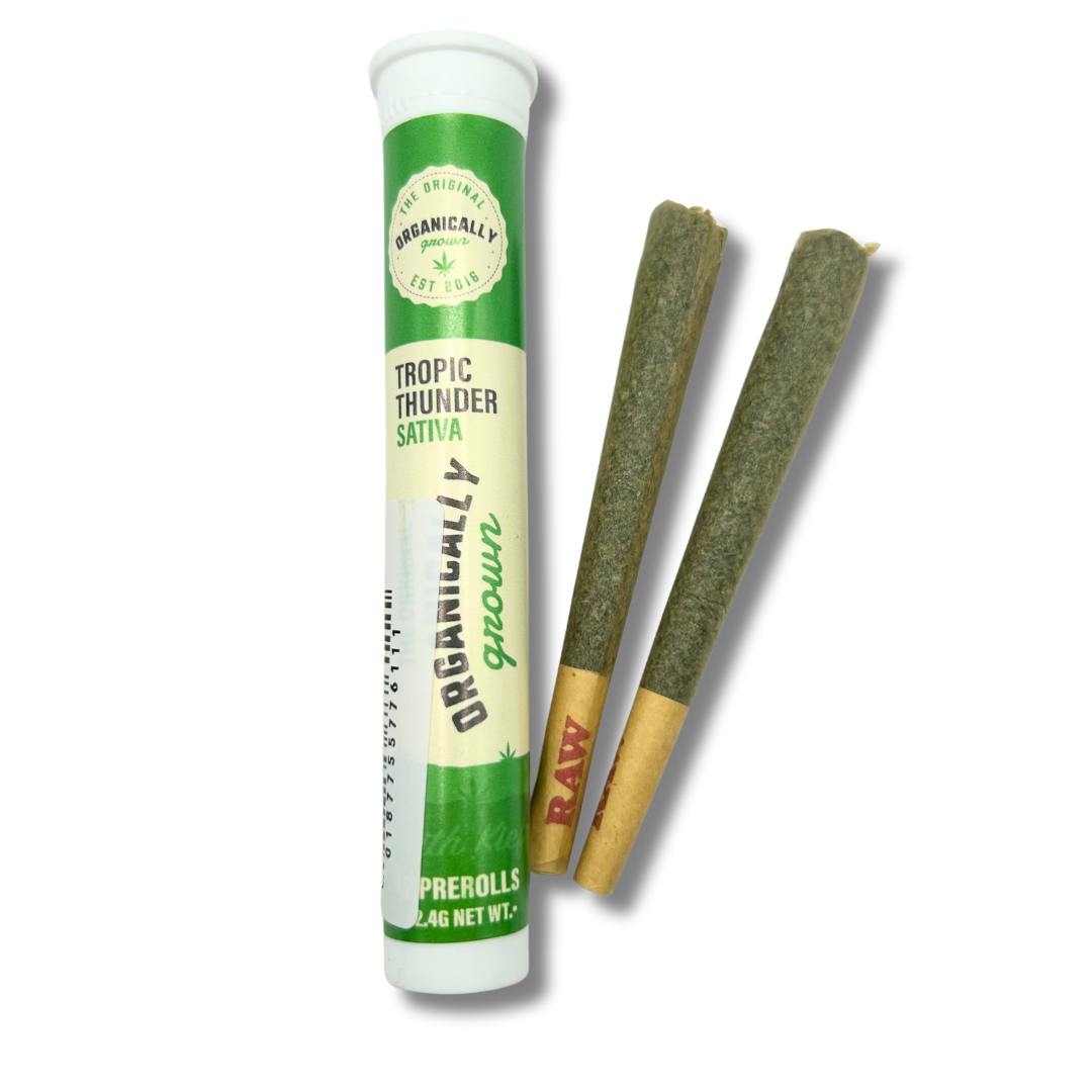 Tropic Thunder - 2.4G Organically Grown