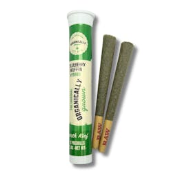 Organically Grown - Blueberry Muffin 2x (1.2g) - Blueberry Muffin - 2.4g