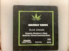 Mainely Seeds Blue Dream