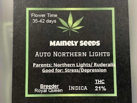 Mainely Seeds Auto Northern Lights