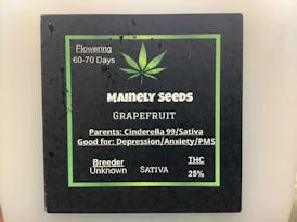 Mainely Seeds Grapefruit