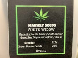 Mainely Seeds White Widow