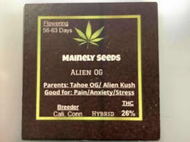 Mainely Seeds Alien OG