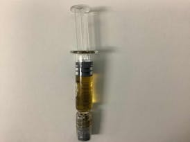 Distillate Darts 1g