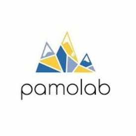 Pamolab Disposable Distillate Cartridge 1g GG4