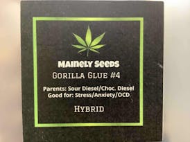 Mainely Seeds Gorilla Glue #4