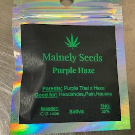 Mainely Seeds PURPLE HAZE