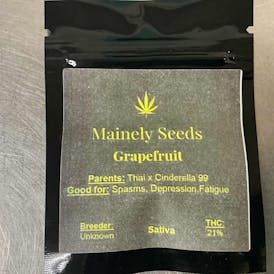Mainely Seeds Grapefruit
