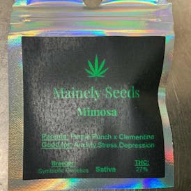 Mainely Seeds MIMOSA