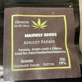 Mainely Seeds Apricot Papya