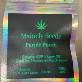 Mainely Seeds Purple Punch