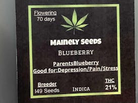 Mainely Seeds Blueberry