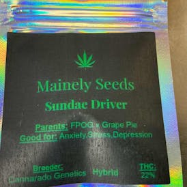 Mainely Seeds SUNDAR DRIVER