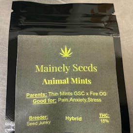 Mainely Seeds ANIMAL MINTS