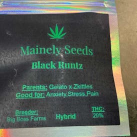 Mainely Seeds BLACK RUNTZ