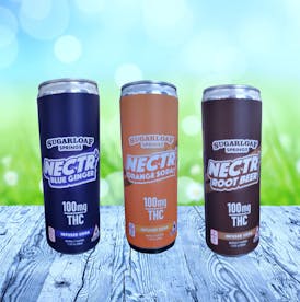 Nectr Root Beer