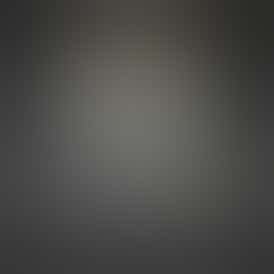 DUCHESS OF YORK Pamilab 2g Black Box Live Resin Disposable Cart