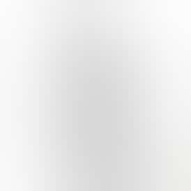 Berry White 1g Distillate Disposable Vape from Pamolab