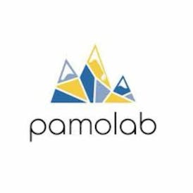 RAINBOW BELTS / CHERRY FRITTER 2g Distillate Disposable Vape from Pamolab