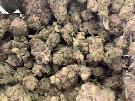 Blackberry Pie Kush