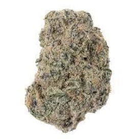 GAS FACE