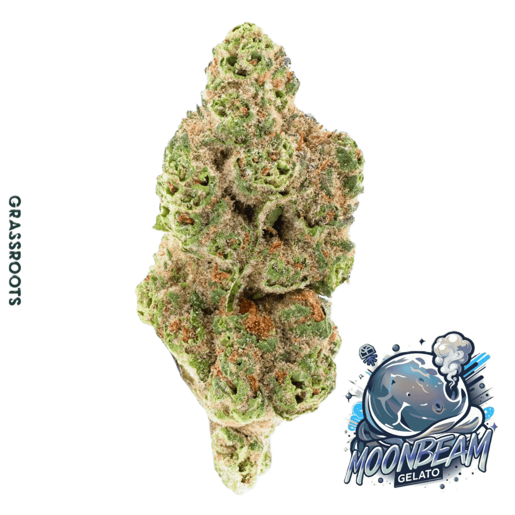 FLOWER - DARK HEART COLLECTION - MOONBEAM GELATO