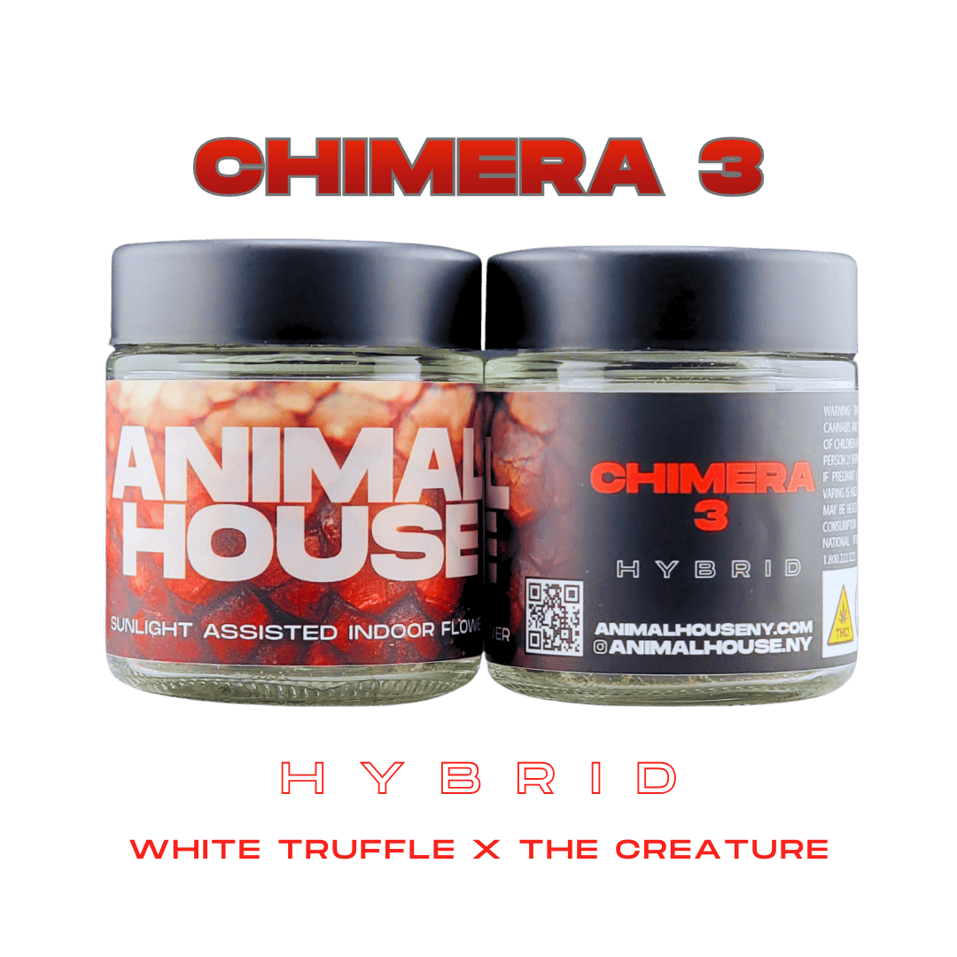 FLOWER - CHIMERA 3 - 3.5g