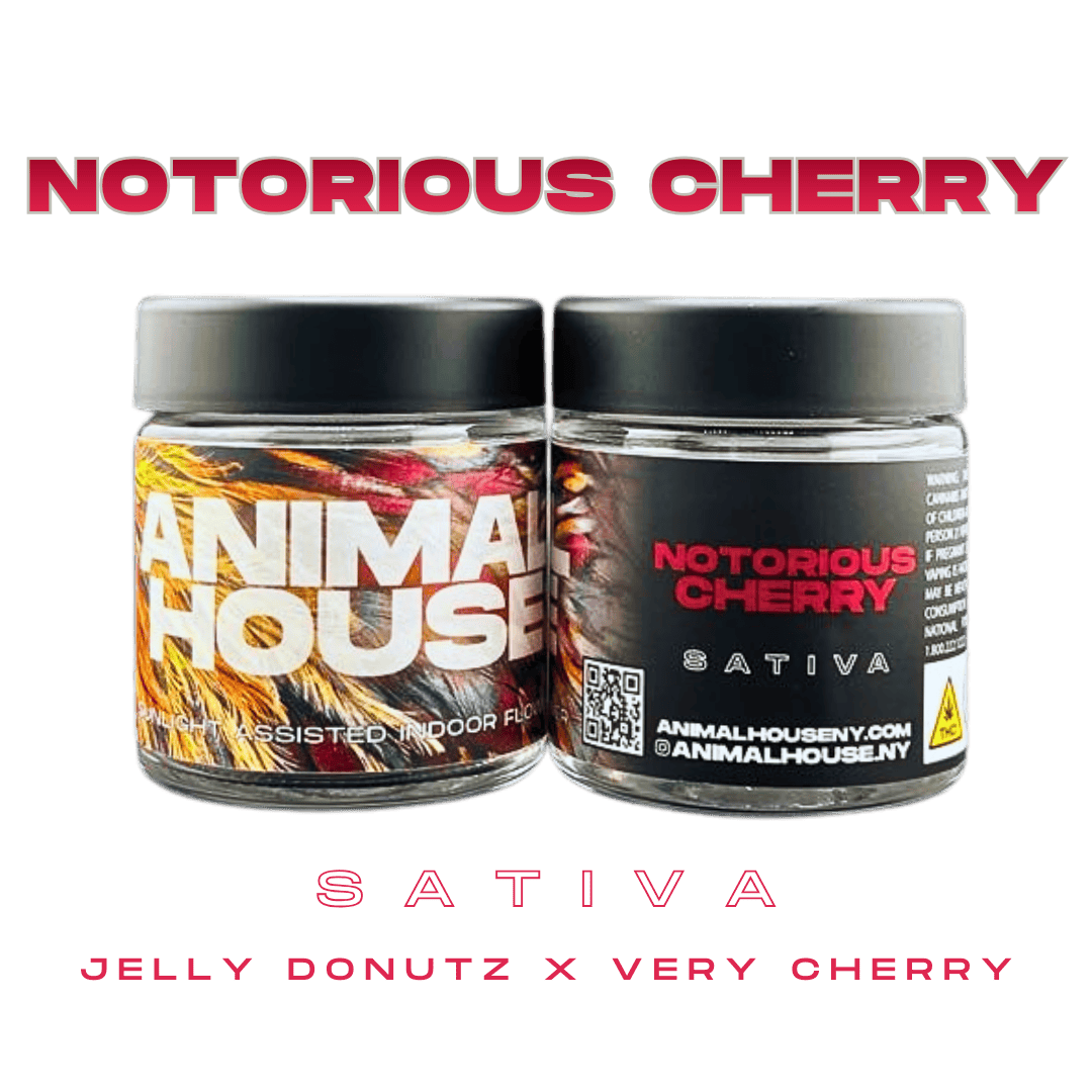 FLOWER - NOTORIOUS CHERRY