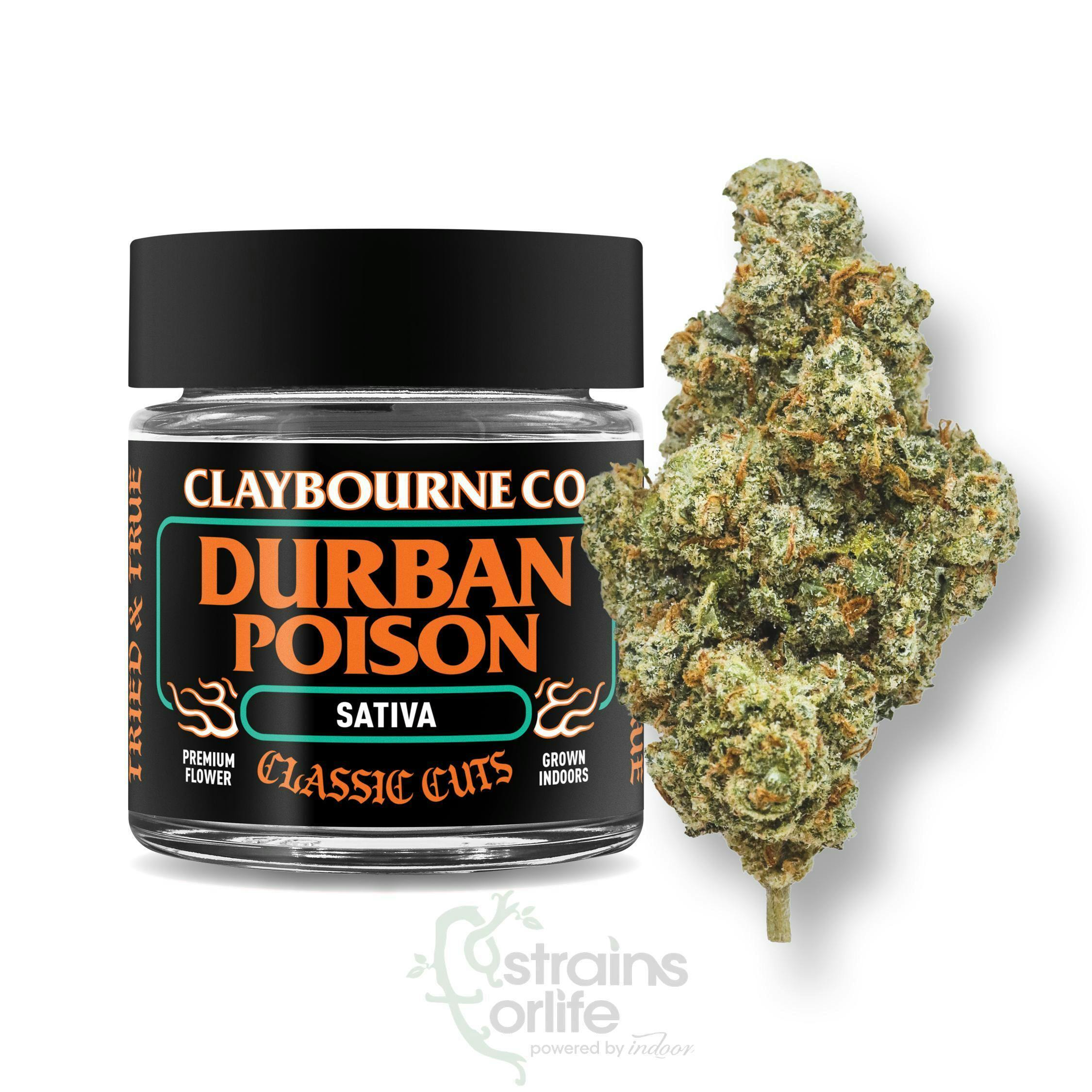 FLOWER - CLASSIC CUTS - DURBAN POISON - 3.5 g