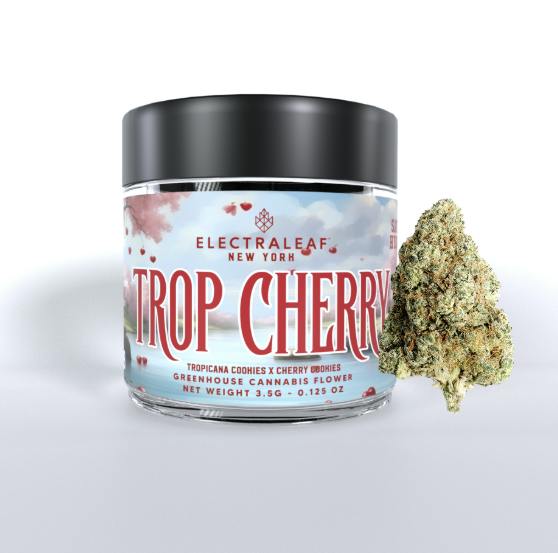 FLOWER - TROP CHERRY